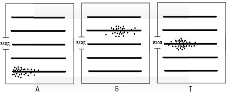 Заселения отсека тепличной белокрылкой на инструменте (А) и занос тепличной белокрылки на одежде сотрудников эксплуатации (Б,Т)